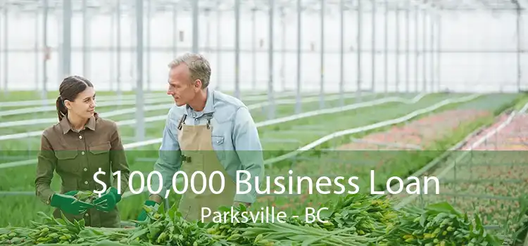 $100,000 Business Loan Parksville - BC