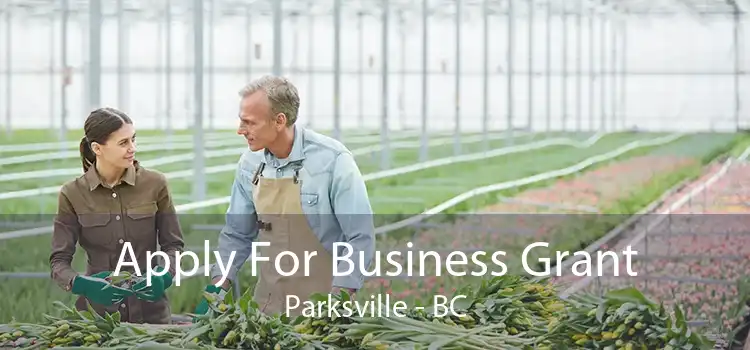 Apply For Business Grant Parksville - BC